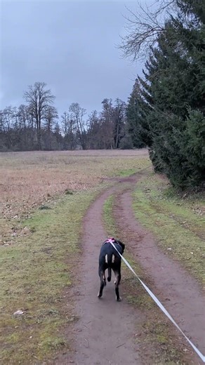 Wet Dirt Path Beside Open Field – Champoeg State Park