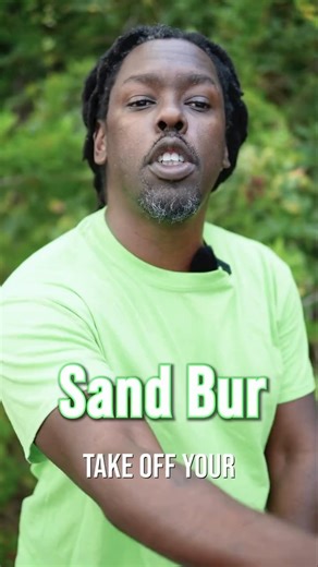 Do you call them #sandburs #stickyburs or #sandspurs #omgitswicks #floridian #livinginflorida #f | Omgitswicks