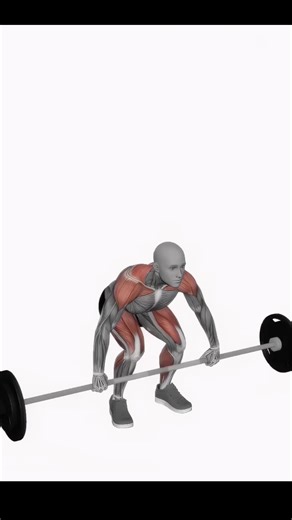A super compound exercise to boost your overall shoulder and legs strength and size! The BARBELL CLEAN AND PRESS is the one! Try it and let us know in the comments how you like it 💪 👉You can support our animation work for just $2/month at www.exerciseanimatic.com 🔥All the exercises you need: #Strength #Bodyweight #Stretching #Calisthenics #Home workout #Functional #Plyometrics #Cross Exercise #Boxing #Powerlifting #EXERCISEANIMATIC #fitness #gym #workout #fitnessmotivation #fit #motivation #b