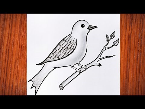 Bird drawing|| Simple bird drawing|| pencil shading drawing|| How to draw bird🐦