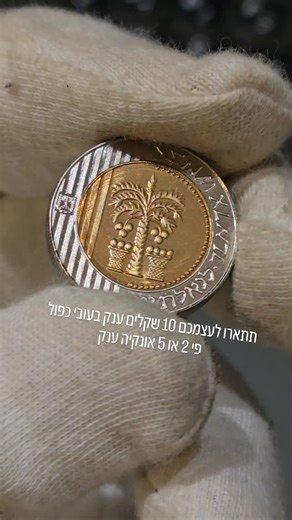 מחזיק ביד: עובי כפול 🔥 10 שקלים עובי כפול ועוד 10 שקלים עובי כפול שימו לב לעובי… זה לא רגיל בכלל 👀 מי שמבין – מבין. ❓ שאלה אליכם: אם בנק ישראל היה מוציא 💥 10 שקלים ענק (עבה / מיוחד / אספני) הייתם רוצים דבר כזה? ⬇️ תכתבו לי בתגובות כן / לא / תלוי בעיצוב #כסף #מזומן #ישראל #מטבעות #פוריו | Amit Even