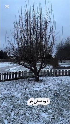 panjabi sad song//song panjabi