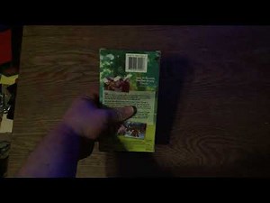 Opening to Brother Bear 2 2006 VHS