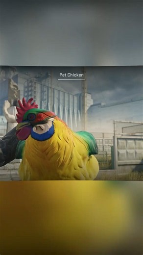 Best Looking Pet Skins in CS2 #cs2skins #csgo #cs2 #counterstrike #counterstrike2