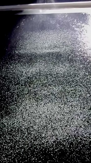 Silver gelatin prints from the exhibition and book Monument will be on display @Sydney Contemporary 7th to 10th of September @Hugo Michell Gallery #trentparke #magnumphotos #australianphotography #silvergelatin #darkroomprint #stanleybarkerbooks #monumentbook #australianphotographer #australianstreetphotography #sydneystreetphotography #australianartist #australianfilms #australianfilmmakers #australianfilm #35mmbw #35mmfilm #adelaide #thecameraisgod #🌶️🐙