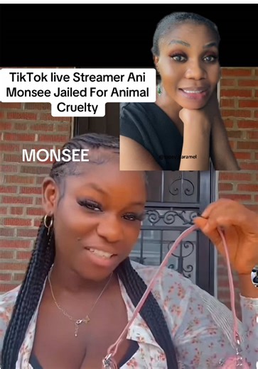 Ani Monsee Jailed for Animal Cruelty During TikTok Live