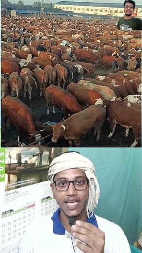 🐂 গরুর বাজারের দৃশ্য | Cattle Market View 2025 #cow #animals #funny #viral #shorts #youtubeshorts