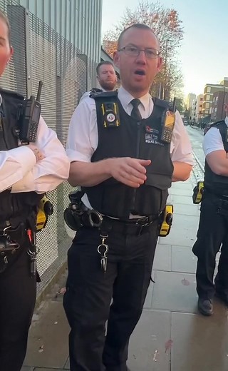 Auditing Britain: Understanding the Security Concerns Around Police Officers