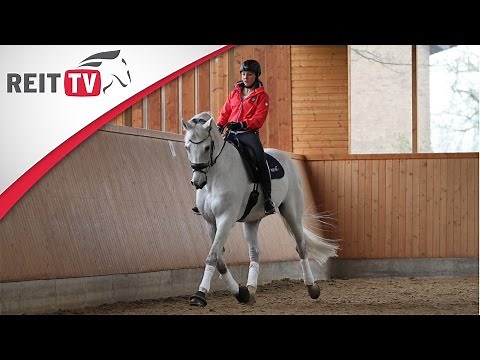 Reiten lernen: Bahnfiguren - Die doppelte Schlangenlinie