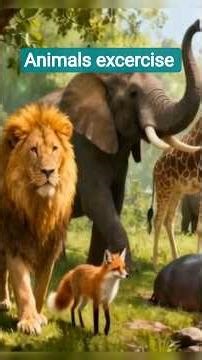 Animals excercise