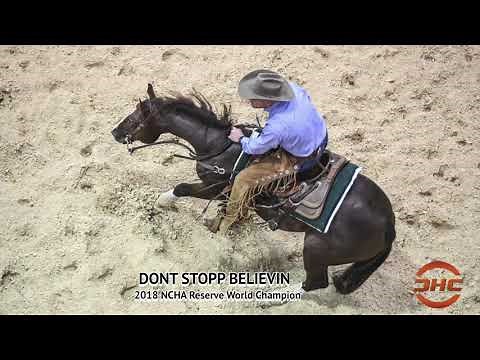 DONT STOPP BELIEVIN PHIL RAPP 2018 NCHA Reserve World Champion