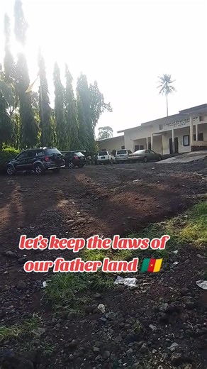 Exploring Limbe's Beautiful Beaches and Tours