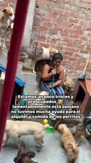 los que desean apoyar número de BCP 19173029977051 número interbancaria es 00219117302997705152.