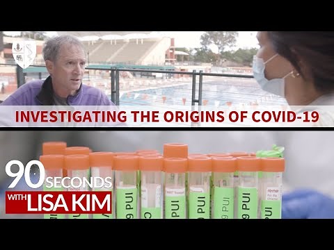 Investigating the origins of COVID-19 | 90 Seconds w/ Lisa Kim