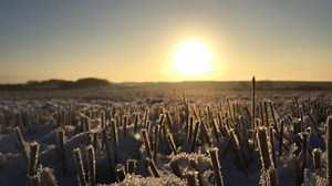 Winter Solstice 2021: What to Know About the First Day of Winter, Shortest Day of Year Tuesday