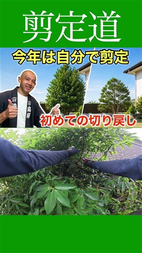 Supporting DIY Pruning!! Let's Try "Heading Back" #GardenTreeMaintenance #YardWork #PruningMethod...