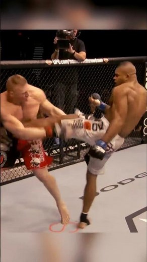 Alistair Overeem CRUSHES Brock Lesnar 🇳🇱
