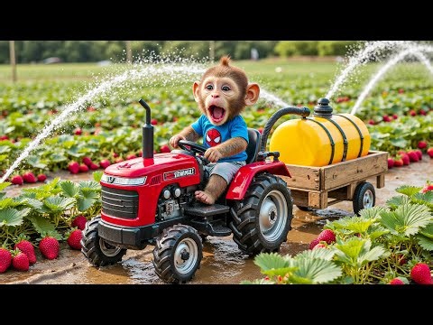 الليلة الأولى ليالي الامتحان الأخيرة ثالثة ثانوي ٢٠٢٥ مع أ محمد صلاح