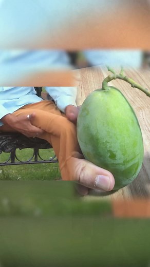 The Man with the World's Longest Penis at 19 Inches