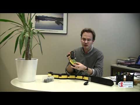 AmphiBot III swimming race (complete version)