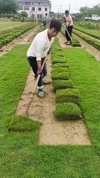 When Workers Use 100% of Their Brain 🧠 Brilliant Job Moments