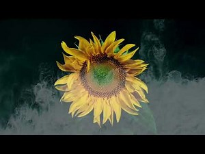 Dj Sunfinity- Breath In…