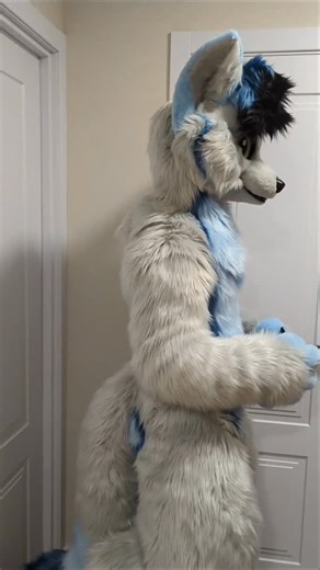 FurryStudio! on Instagram: "Ready for a hug #fursuit #furry #furrystudio"