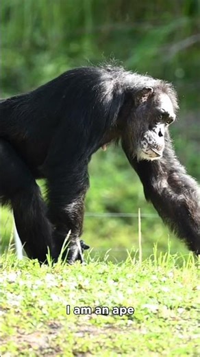 We Are Not the Same Animal