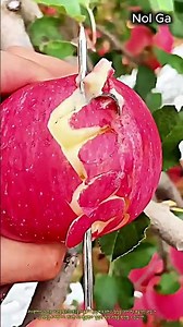사과 특수 도구 껍질 깎기 및 가공 작업 #worker #process #apple #harvest #fruit