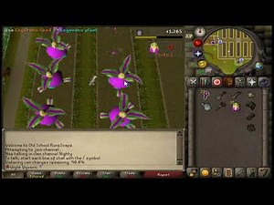 Tithe Farm Updated (100 fruits in 19min 24sec - No Stams/Energy potions)