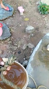 2.5K views · 25 reactions | Word no 8 mand patha udhampur k Log Gandha Pani peenay ko Majboor....Sirf Khokhlay Daway h Development K...Ground lavel Report ye hai..Administration Logon Ko Saaf Pani Bhee Muhaiya nahi karwa Sakti... | News Sehar India | Facebook