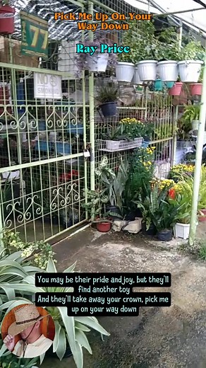 Pick Me Up On Your Way Down - Ray Price - Mesmerizing The Past With This Beautiful COUNTRY Classic song - TJYCM will take you back to Yesterday's REAL COUNTRY MUSIC #oldschool #countryclassics #fblifestyle #everyone #followers | The Jukebox, You, & Country Music