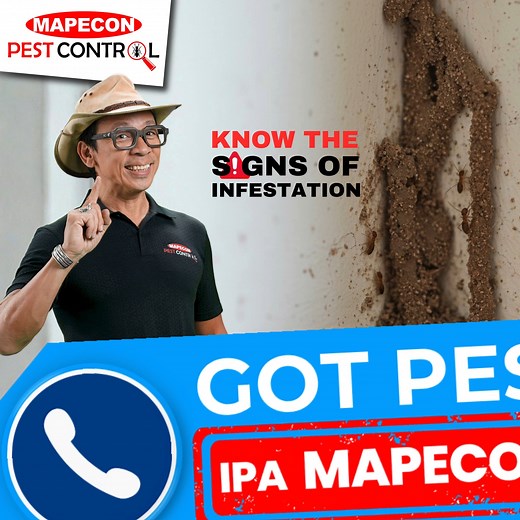 Termites build their homes in silence. 🤔 If you see mud tubes or nests on walls, take it as a warning sign! 🏚️🐜🚨 𝐈𝐩𝐚-𝐌𝐀𝐏𝐄𝐂𝐎𝐍 𝐦𝐨 𝐧𝐚! 🚫🪳 D.I.A.L 📞 8567 - PEST (7378) 📲 09209113886 (Smart) 📲 09175285709 (Globe) 📲 09228242295 (Sun) or send us a message at 📧 customercare@mapecon.com.ph 🌐www.mapecon.com #IpaMAPECONMo #provenprotection #trustedforgenerations #DengueAlert #MAPECONProtects #ONEMapecon | MAPECON Philippines, Inc.