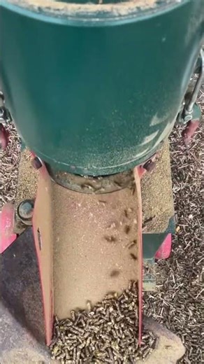New type more easy operating feed pellet maker price