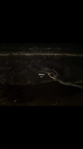 Aşk ve Nefret Arasında: Fettah Can