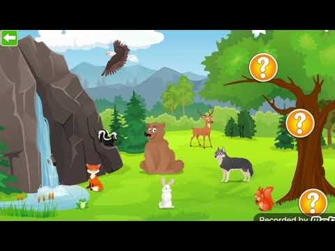 Intellijoy kids animals ~ forest and wildlife