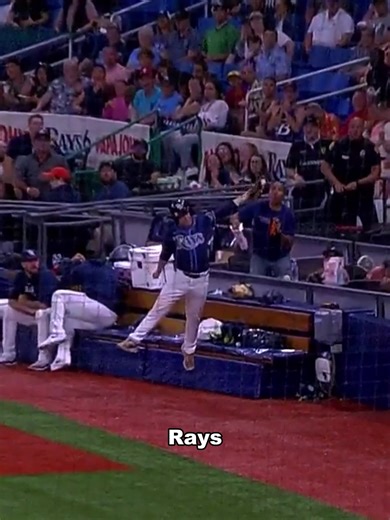 Memorable Ballboy Moments in Baseball Highlights