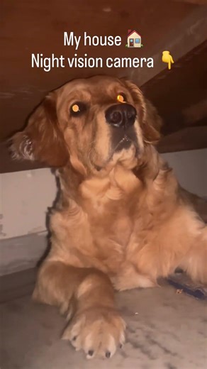 My house night, vision, CCTV ￼ camera ￼