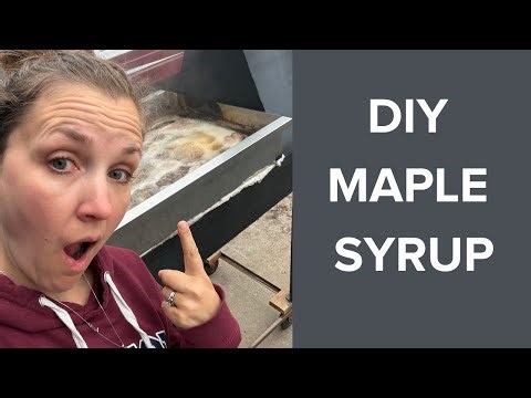 How to make your own MAPLE SYRUP 🍁🤩