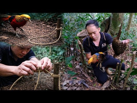 A Successful Jungle Expedition: Duong Trapped Two Wild Birds Using Only a Small Piece of Rope