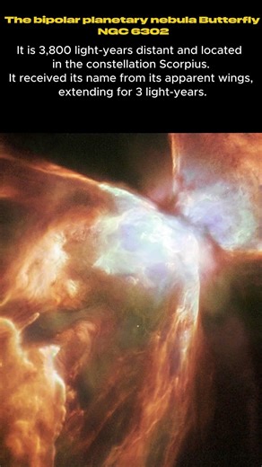 The Butterfly planetary nebula