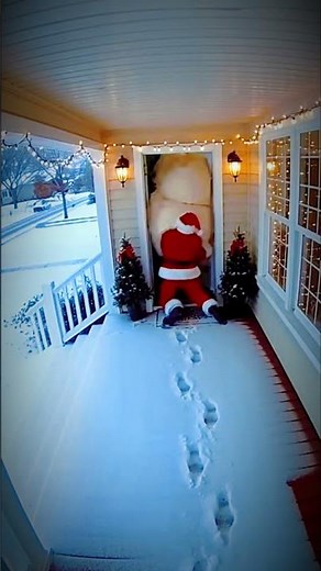This Christmas Trap Was Not a Joke 😳🎄 #shocking #funny #santa #comedy #pets #home #fun #shorts