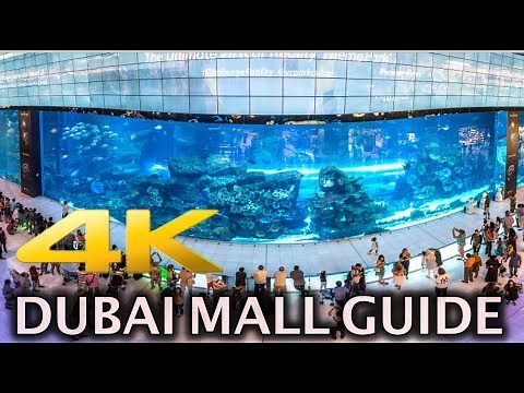 Dubai Mall Aquarium and Fountain Show 4K HD