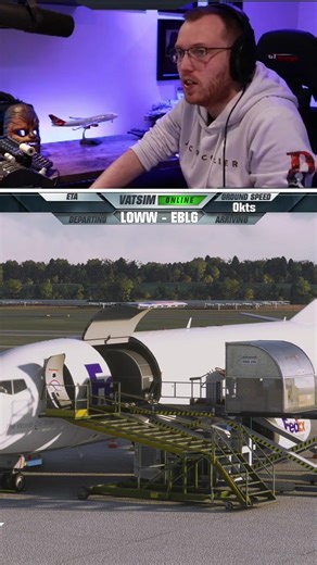 VATSIM Glitches in Microsoft Flight Simulator