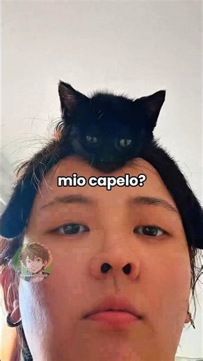 🐱 Vita da gatti (PARTE 84)