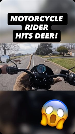 Erik Poirier on Instagram: "OH DEER! - - #deer #crash #harleydavidson #motorcycle #bikelife"