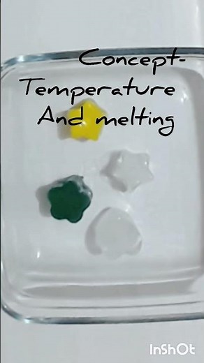 Science Experiment: Ice Melting Race ❄️🏁