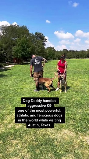 273K views · 6.2K reactions | Dog Daddy gets challenged by k9! Next stop is Richmond, VA. | The Dog Daddy | Facebook