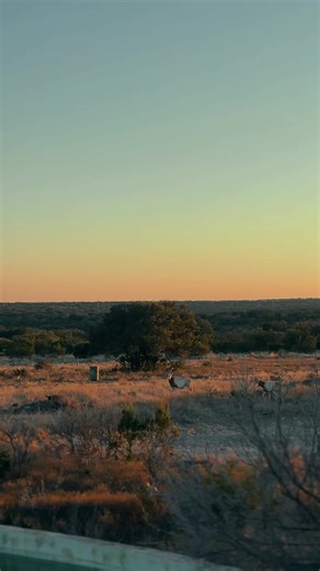 Start Your Week Right at Our Feed Store in Sonora, TX
