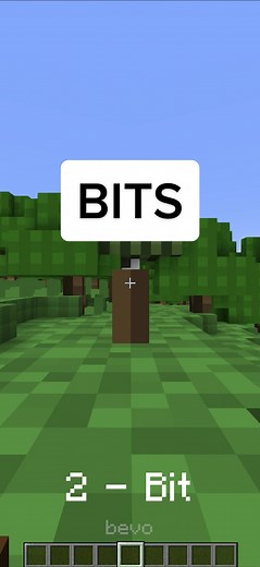 Exploring Brown Rectangle Doors in Minecraft